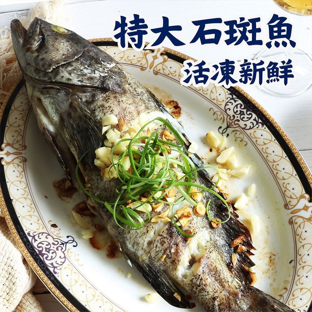 築地一番鮮-特大石斑魚 530gX3尾組｜活魚三去 /急速冷凍 /真空包裝/優質蛋白低脂