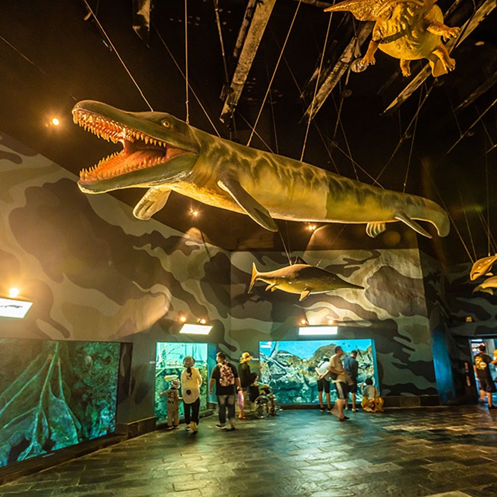 屏東/墾丁【海洋生物博物館】單日門票| 主題樂園| Yahoo購物中心