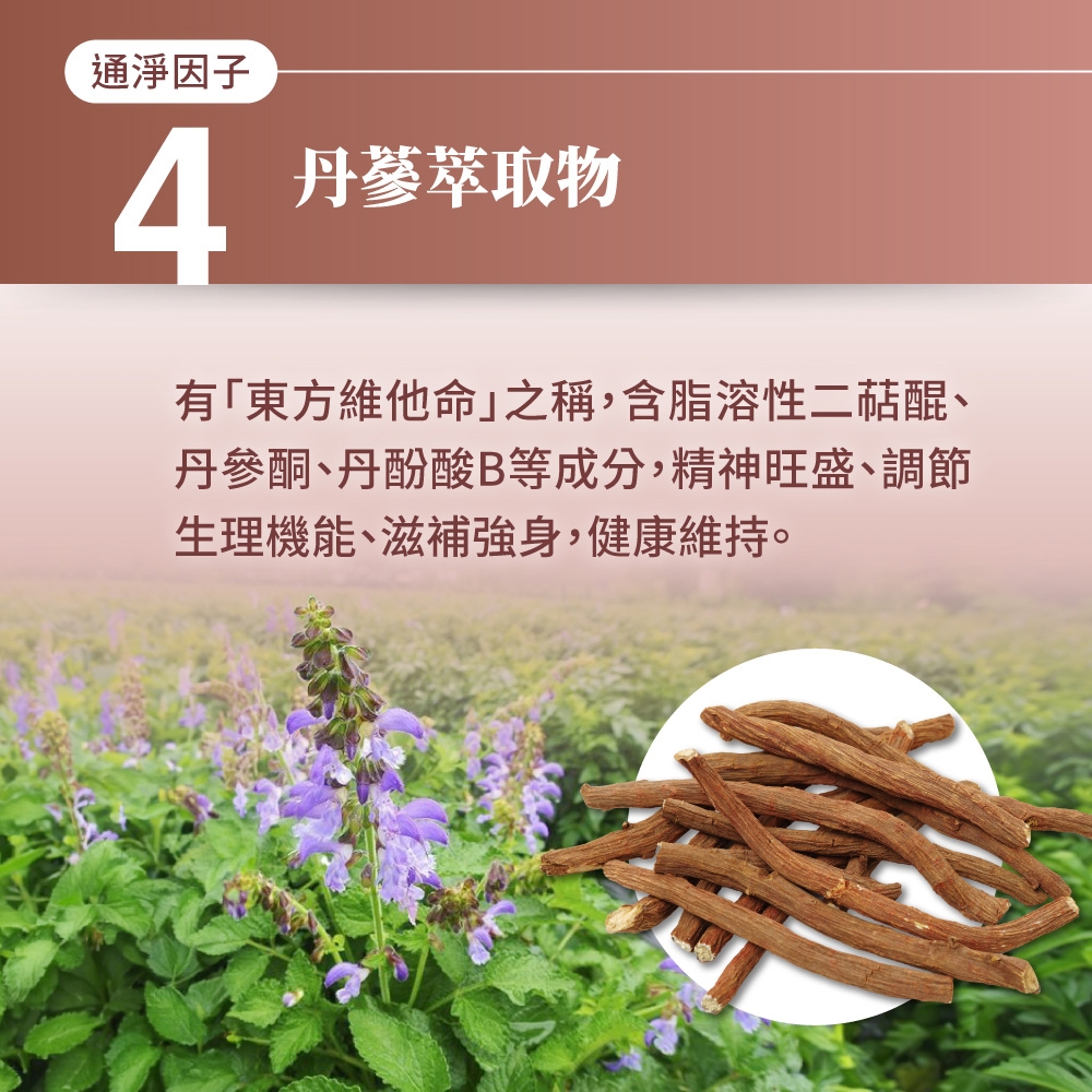 通淨因子4丹蔘萃取物有「東方維他命之稱,含脂溶性二醌、丹參酮、丹酚酸B等成分,精神旺盛、調節生理機能、滋補強身,健康維持。