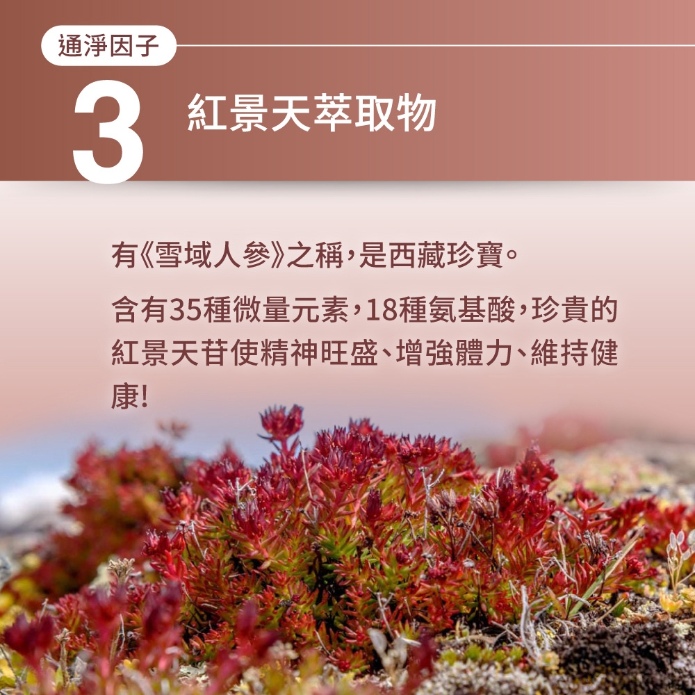 通淨因子3紅景天萃取物有《雪域人參》之稱,是西藏珍寶。含有35種微量元素,18種氨基酸,珍貴的紅景天苷使精神旺盛、增強體力、維持健康!