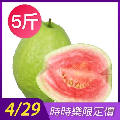 家購網嚴選 精選紅心芭樂5斤裝/盒 (8~12顆)