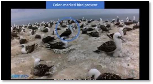 Brinno BCC2000 - 詳情22