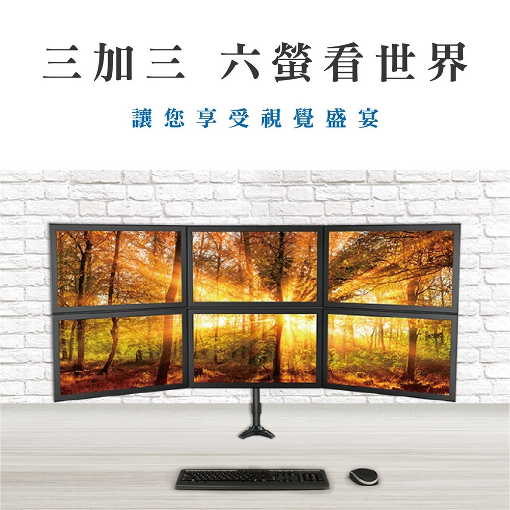 ErgoGrade EGTC746Q - 詳情15