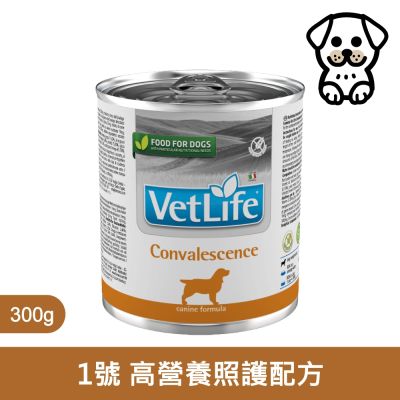 【Farmina 法米納】FD 犬用天然處方罐 高營養照護配方 300g (6入) FD-9013 300克 處方 狗罐頭 狗罐 犬罐