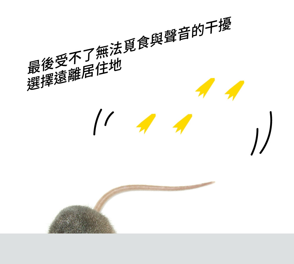 DigiMax UP-1L15 - 詳情12