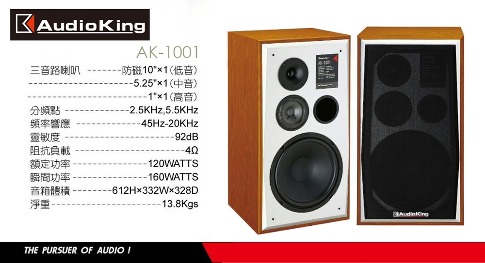 AudioKing AK-1001 - 詳情2