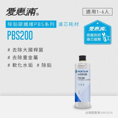 Everpure愛惠浦 愛惠浦 EVERPURE PBS200碳纖活性碳濾芯(到府更換)可取代OW2PLUS濾芯