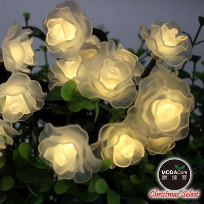 摩達客耶誕-浪漫造型燈20燈LED情境燈串(兩款可選/暖白光透明線/電池+USB兩用充電)