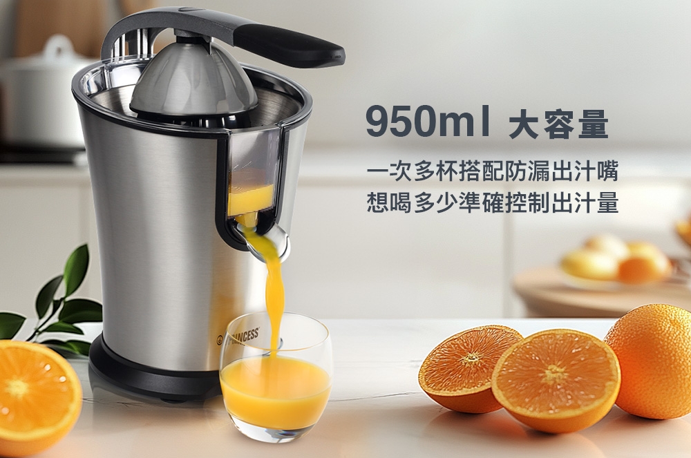 PRINCESS荷蘭公主 201851 - 詳情13