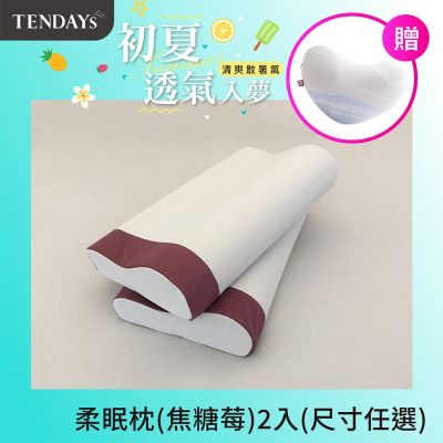 TENDAYS 玩色柔眠記憶枕2入組-吸濕排汗(焦糖莓 8/10cm任選)
