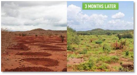 Brinno BCC2000+ - 詳情27