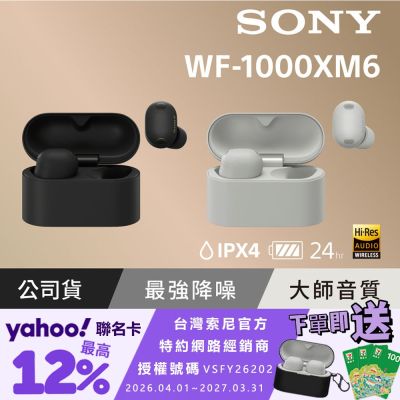 【Sony索尼】WF-1000XM6 旗艦真無線藍牙耳機 (公司貨 保固12+6個月)-鉑金銀