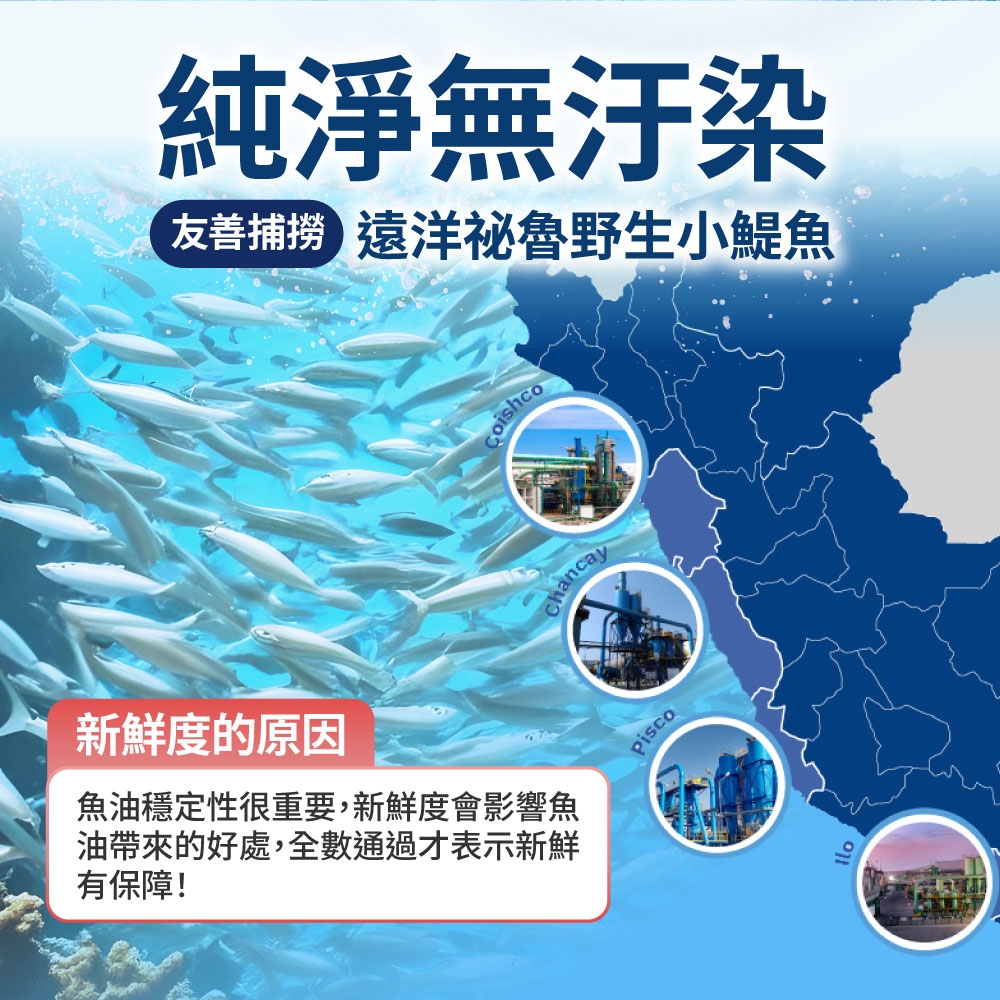 新鮮度的原因純淨無汙染友善捕撈 遠洋祕魯野生小鯷魚魚油穩定性很重要,新鮮度會影響魚油帶來的好處,全數通過才表示新鮮有保障!ChancayPisco