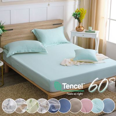 鴻宇 60支300織 100%萊賽爾天絲 床包枕套組/涼被 均一價