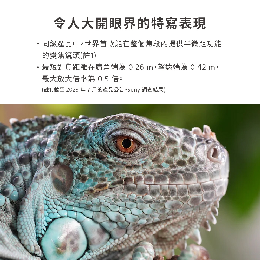 SONY索尼 SEL70200G2 FE 70-200mm F4 MACRO G OSS II - 詳情8