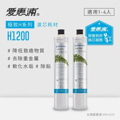 Everpure愛惠浦 愛惠浦 EVERPURE H1200活性碳濾芯(到府更換)