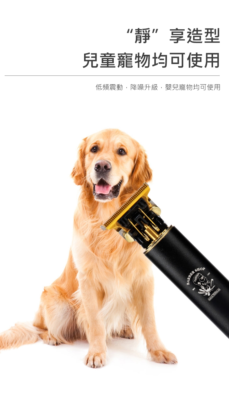 AFAMIC 艾法 M520 - 詳情14