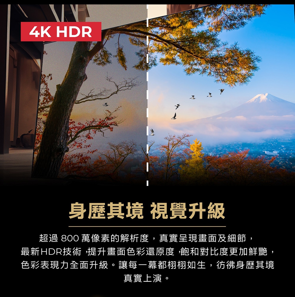 AIWA愛華 AI-43UD24 - 詳情9