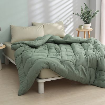 DON 石墨烯可水洗科技羽絲絨被-雙人(買1送1)