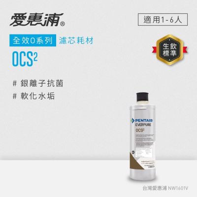 EVERPURE愛惠浦 OCS2活性碳濾芯(DIY更換)