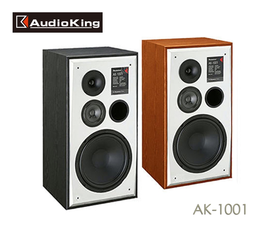 AudioKing AK-1001 - 詳情3