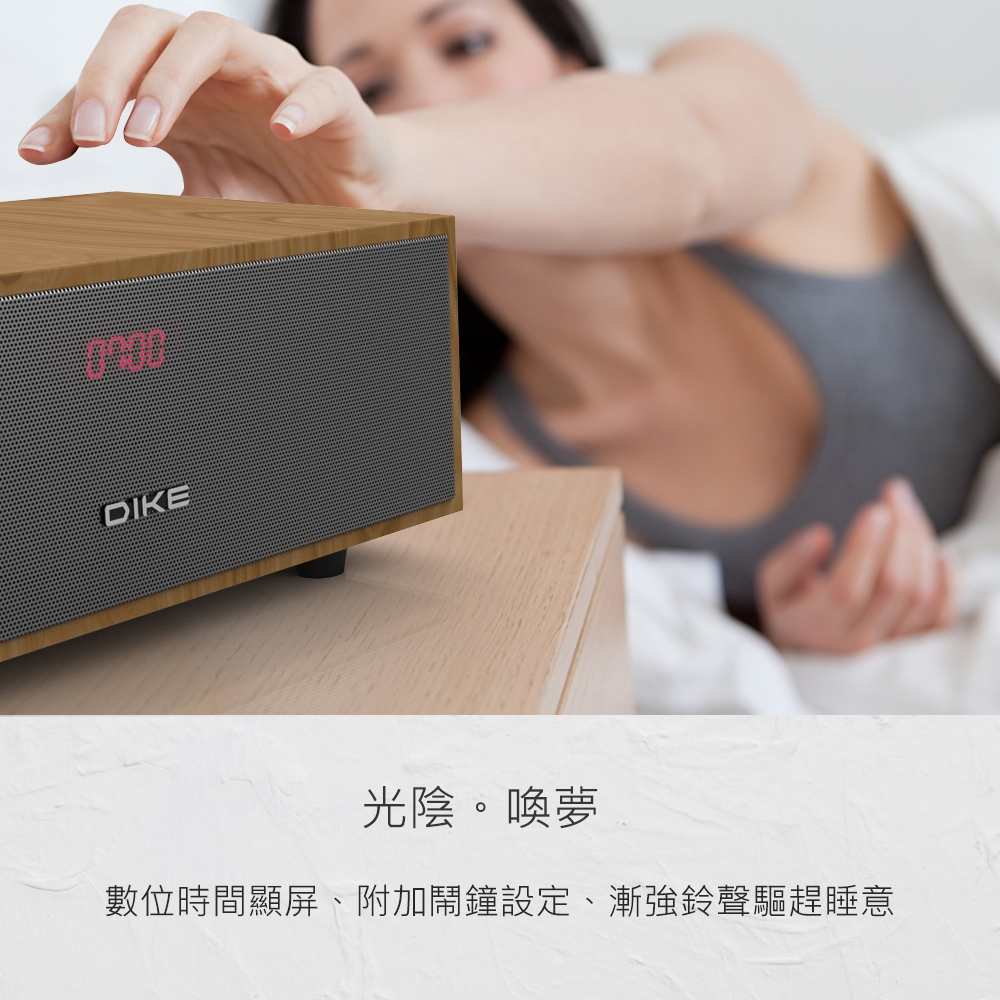 DIKE DS604DBR - 詳情13