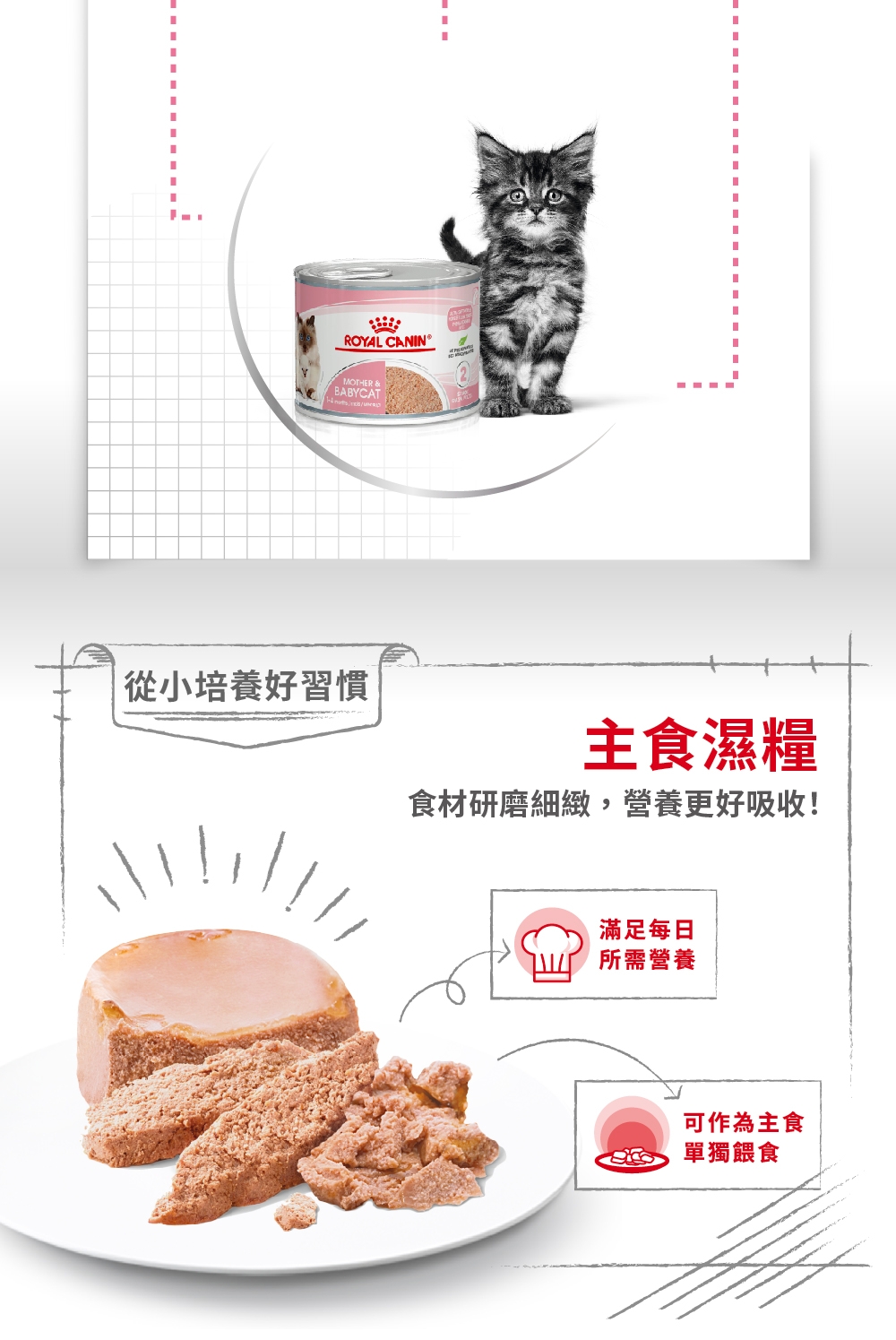 Royal Canin法國皇家BC34W離乳貓罐頭主食濕糧195g *24入| 全齡貓