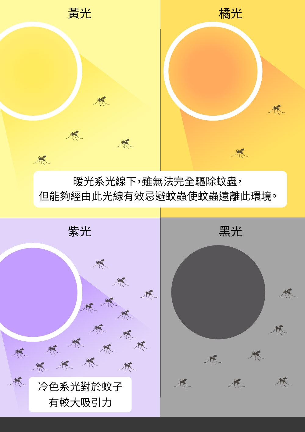 DigiMax UP-11T - 詳情15