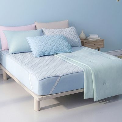 Tonia Nicole 東妮寢飾 TopCool冰凍銀抗菌涼感系列(雙人床包組/雙人涼感墊/單人涼感被)任選均價