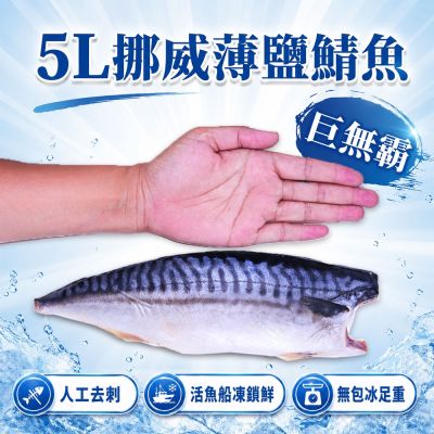 築地一番鮮-5L(特大)挪威薄鹽鯖魚 250gX20片|單片真空 /旗艦特厚切 /老饕囤貨量販組