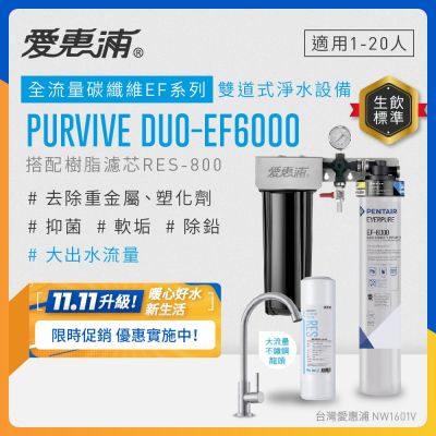EVERPURE愛惠浦 櫥下型 PURVIVE Duo-EF6000大流量不鏽鋼龍頭兩道式生飲淨水器(前置樹脂)
