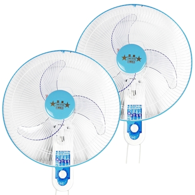 雙星牌16吋雙拉掛壁扇(超值2入組)TS-1633