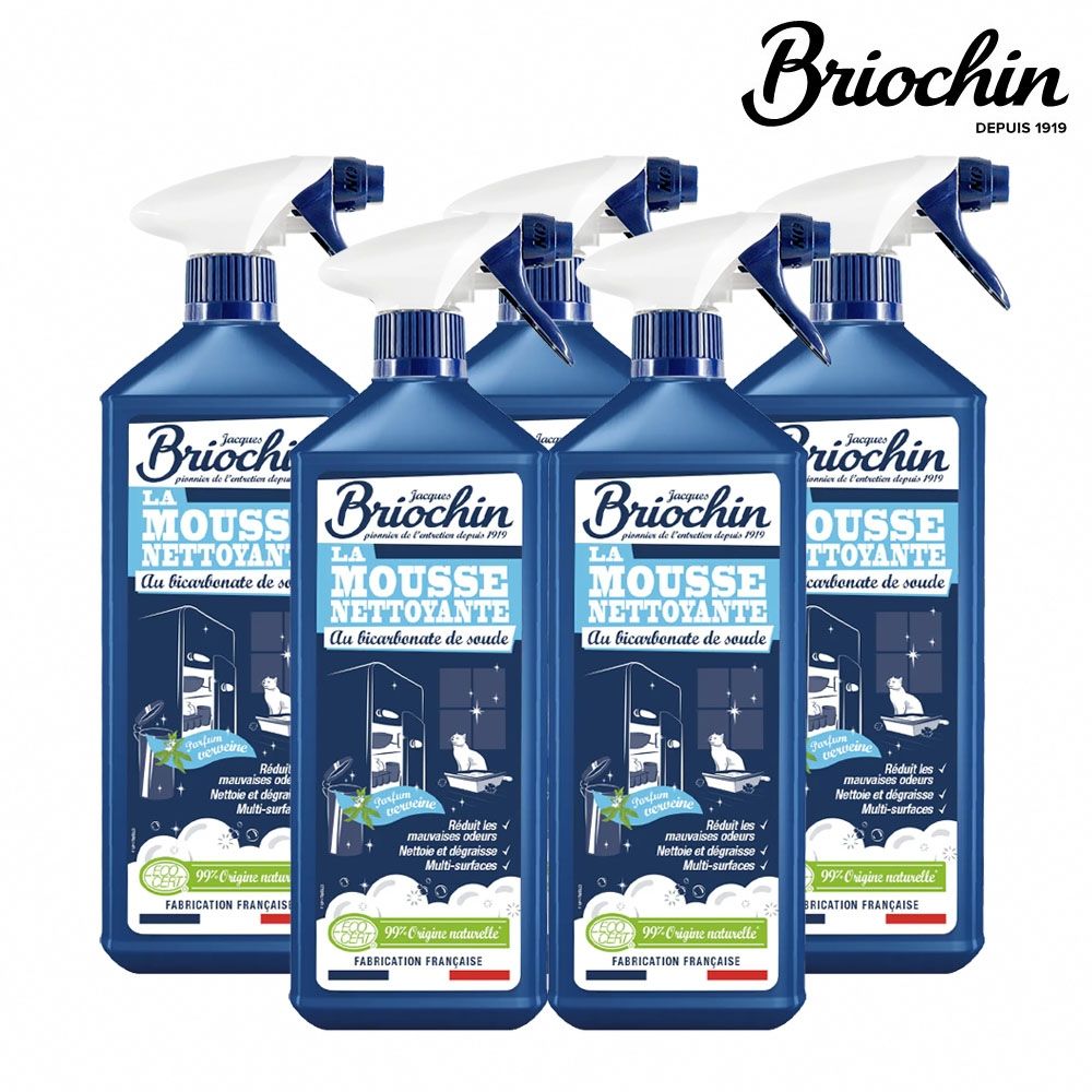 Jacques Briochin 藍牌碧歐馨 小蘇打萬用泡沫去味清潔劑 750ml 超值5件組