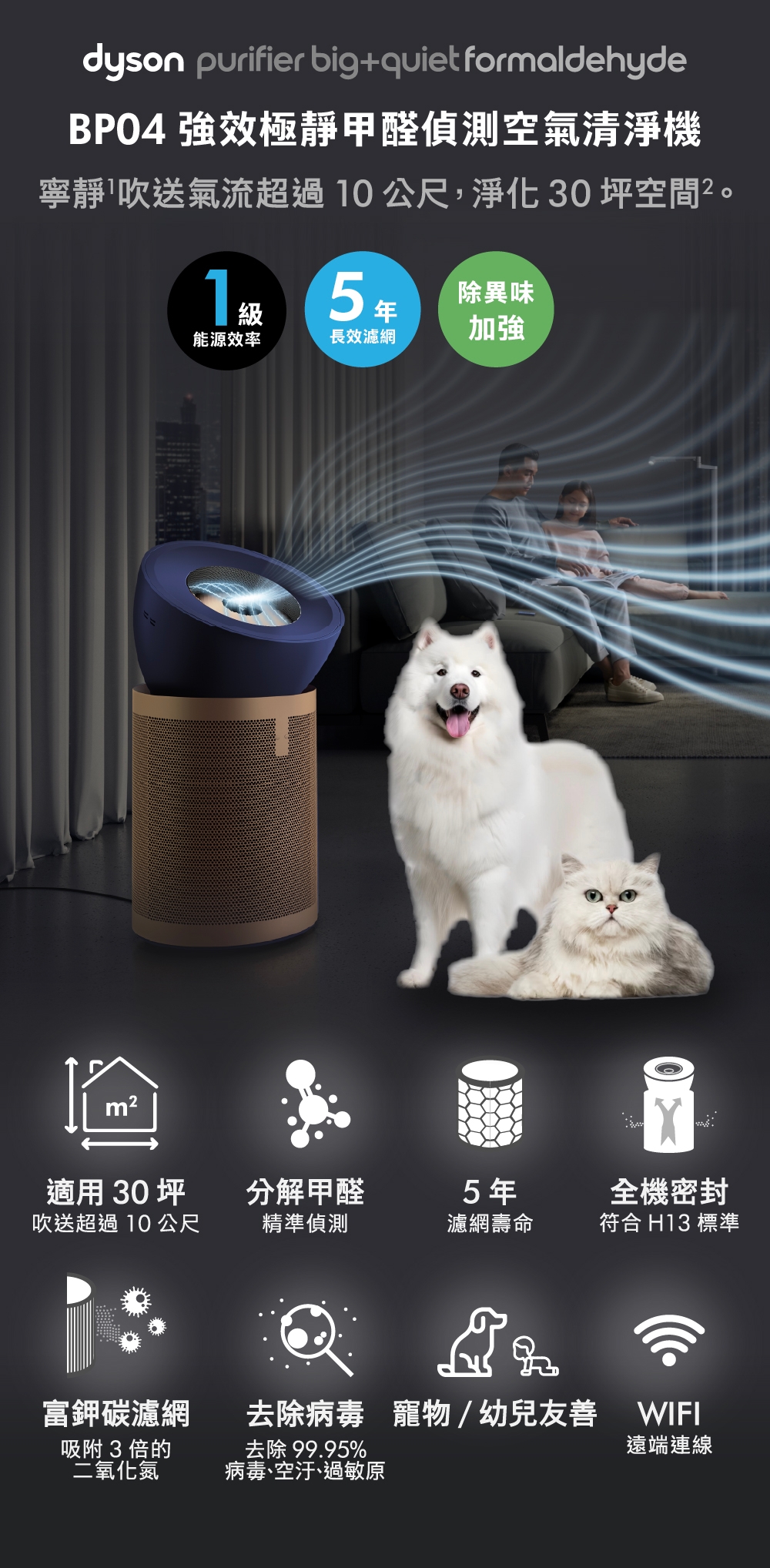 Dyson戴森 BP04 - 詳情10