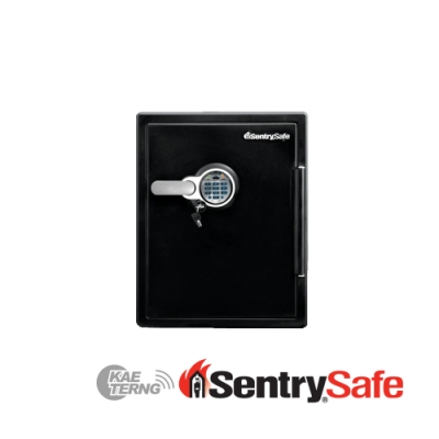 SENTRYSAFE Sentry Safe 指紋辨識及電子式密碼鎖防火防水金庫（大）SFW205BXC