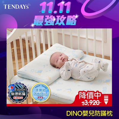 TENDAYS DINO嬰兒防蹣枕(0-4歲)
