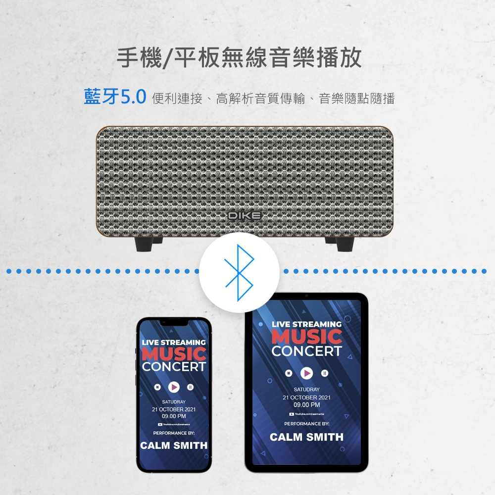 DIKE DS605DBR - 詳情13