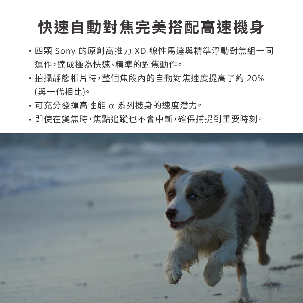 SONY索尼 SEL70200G2 FE 70-200mm F4 MACRO G OSS II - 詳情10