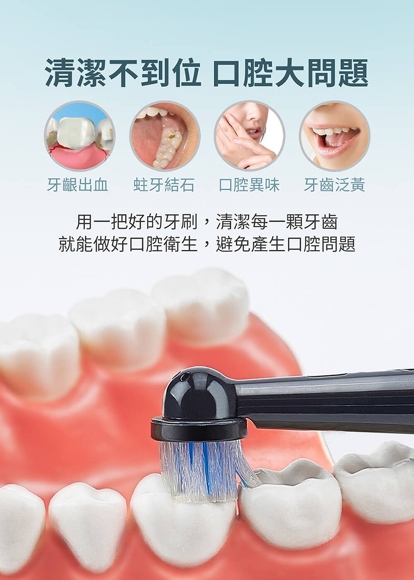 MOLIJIA魔力家 M185 - 詳情19