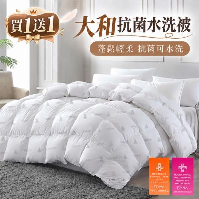 DB夢寢 買一送一 日本大和防蟎抗菌四季被-180x210公分
