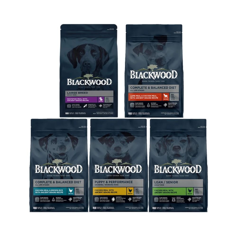 美國BLACKWOOD柏萊富 -24LB(10.9KG) 特調犬配方 