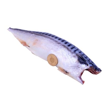 築地一番鮮-5L(特大)挪威薄鹽鯖魚 250gX20片｜單片真空 /旗艦特厚切 /老饕囤貨量販組