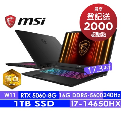MSI微星 Katana 17 HX B14WFK-203TW 17.3吋電競筆電(i7-14650HX/16G/1T SSD/RTX5060-8G/Win11)