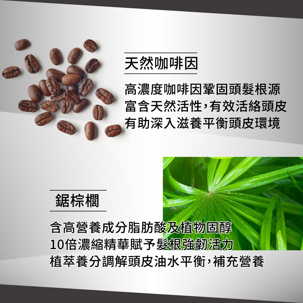 天然咖啡因高濃度咖啡因鞏固頭髮根源富含天然活性,有效活絡頭皮有助深入滋養平衡頭皮環境鋸棕櫚含高營養成分脂肪酸及植物固醇10倍濃縮精華賦予髮根活力植萃養分調解頭皮油水平衡,補充營養