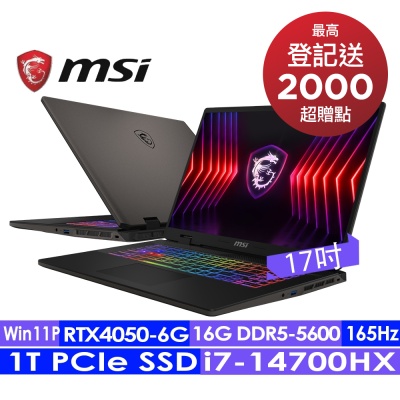 MSI微星 Sword 17 HX B14VEKG-283TW 17吋電競筆電(i7-14700HX/16G/1T SSD/RTX4050-6G/Win11P)
