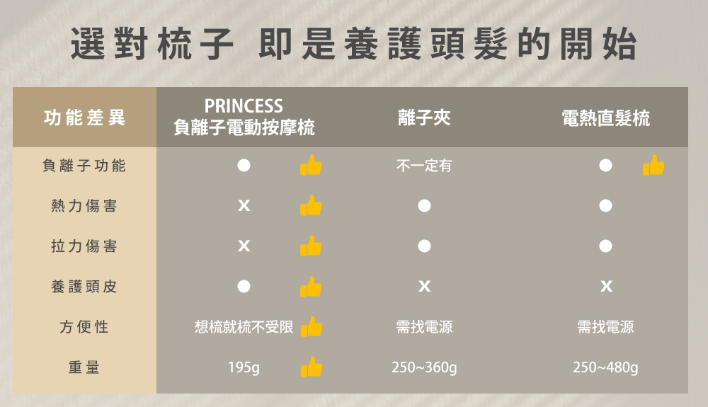 PRINCESS荷蘭公主 529431 - 詳情2