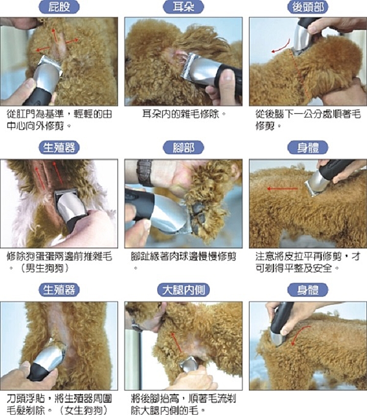 Amity雅娜蒂 PA350 - 詳情1