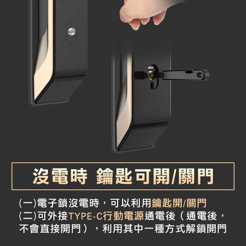 台熱牌 F1 - 詳情2