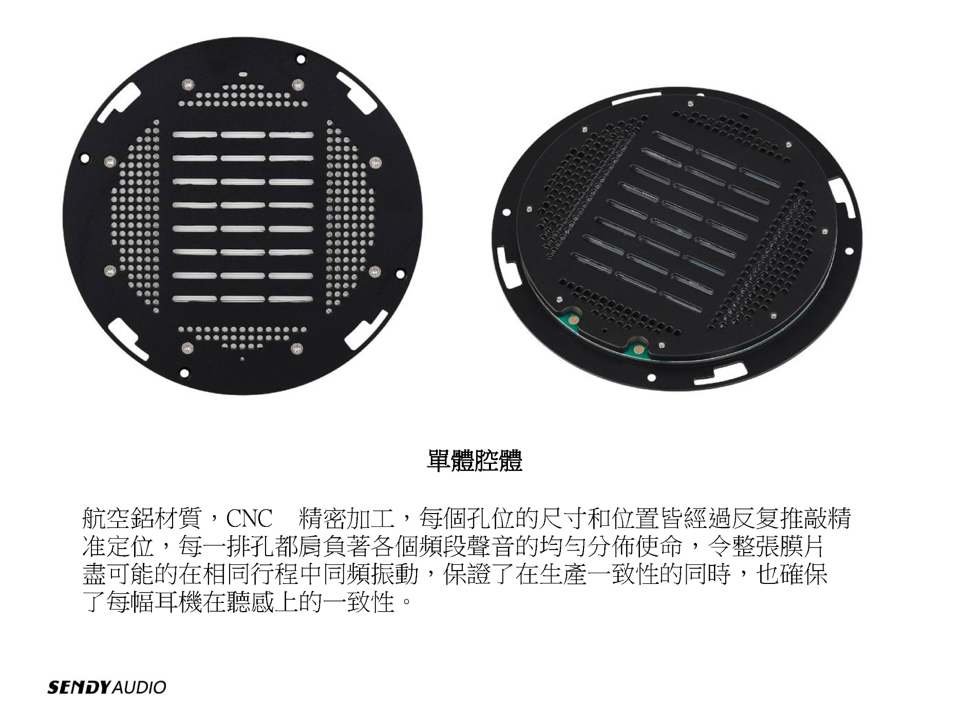 Sendy Audio Peacock - 詳情4