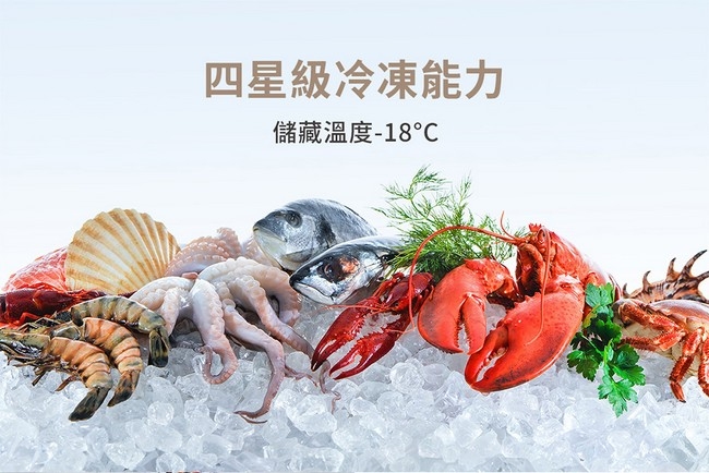 TATUNG大同 TR-B1442VT - 詳情1